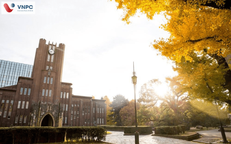 Đại học Tokyo